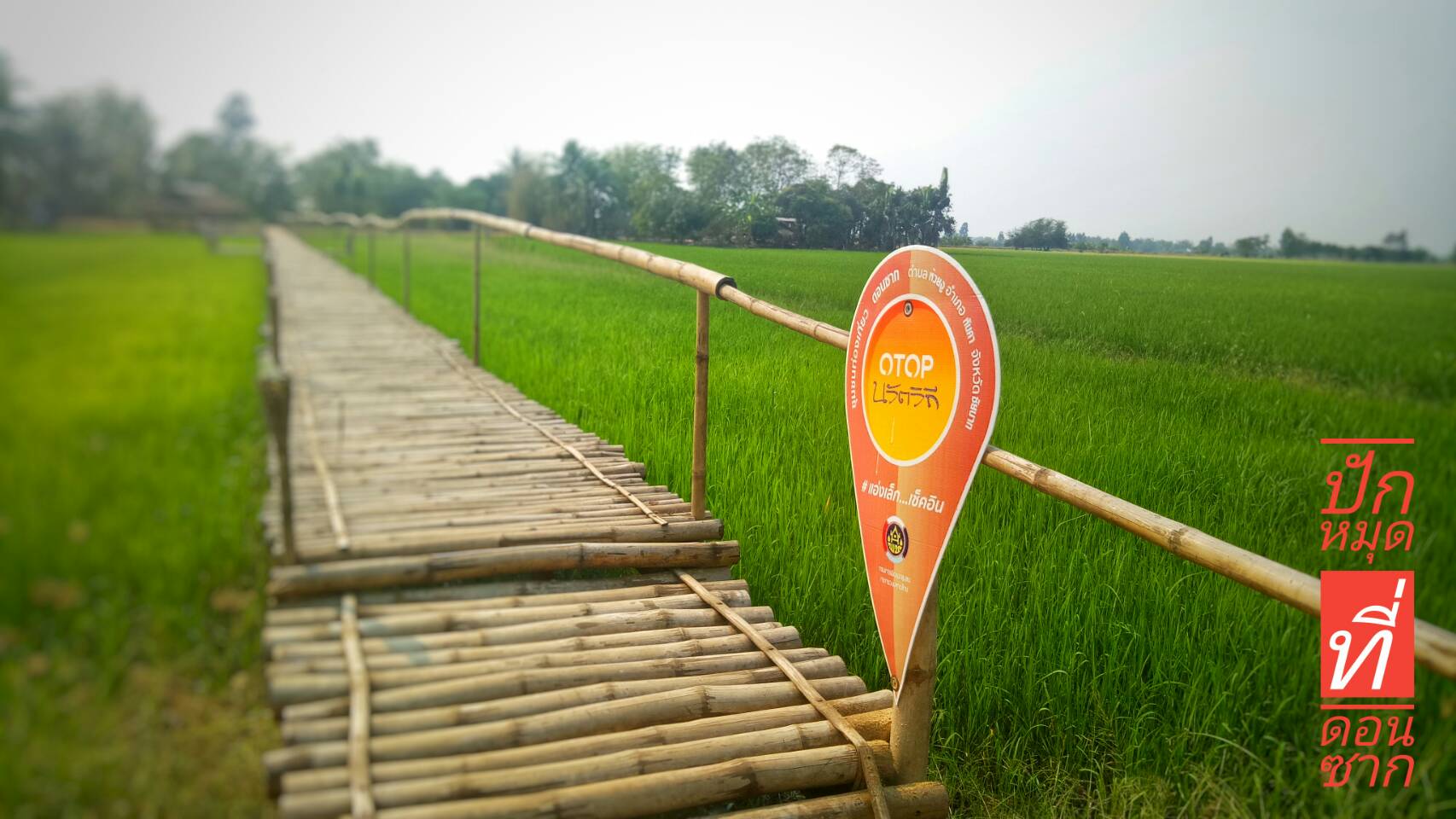 Communication training4.jpg